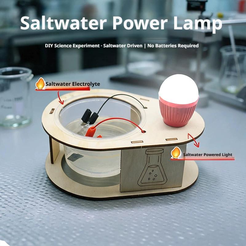 DIY Salt Water Power Generatio - Science Kit 评论和价格